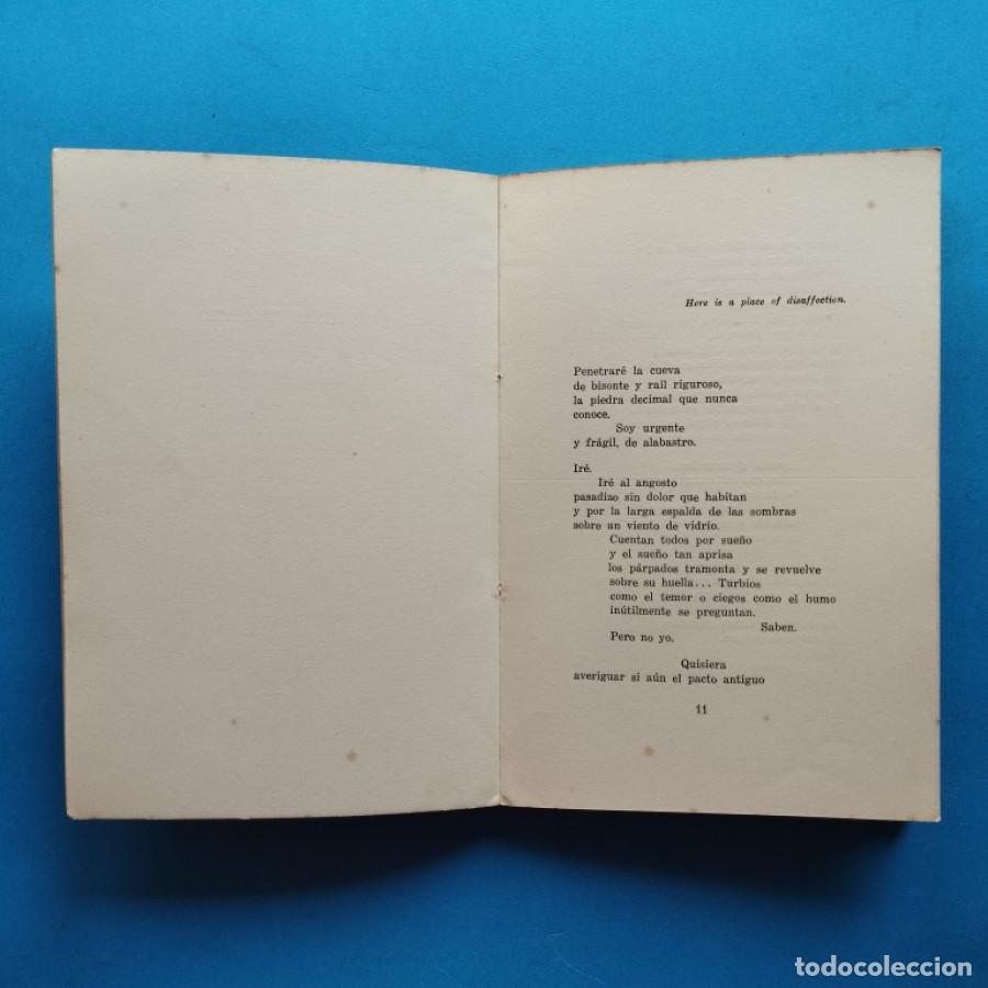Libros: METROPOLITANO. - BARRAL, Carlos. - Foto 4