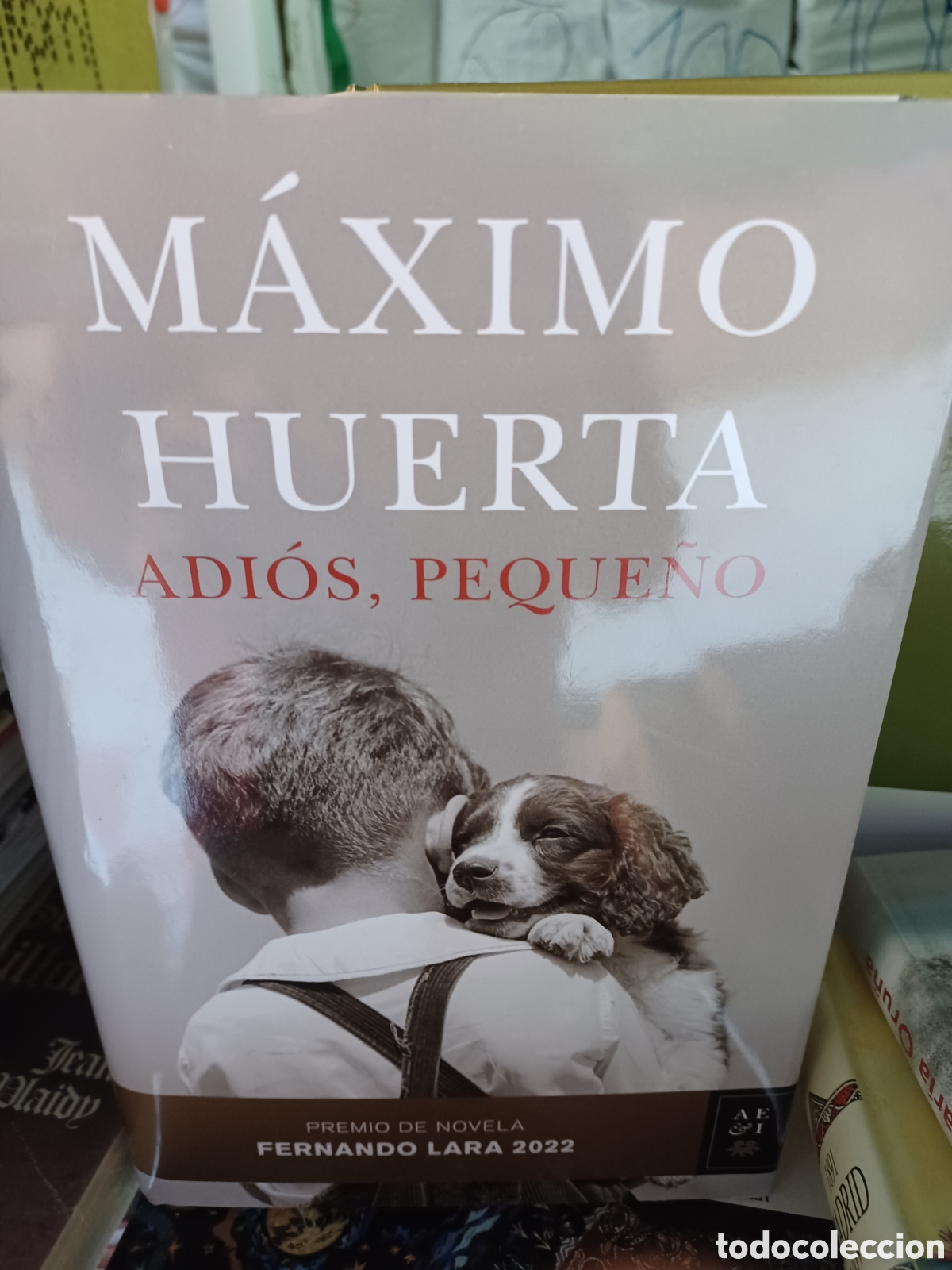 Libros: Barybook 299. Adi&oacute;s peque&ntilde;o m&aacute;ximo Huerta planeta - Foto 1