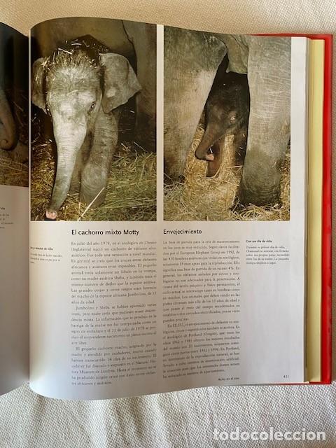 Libros: MEXICO A HISTORY IN ART - Foto 5