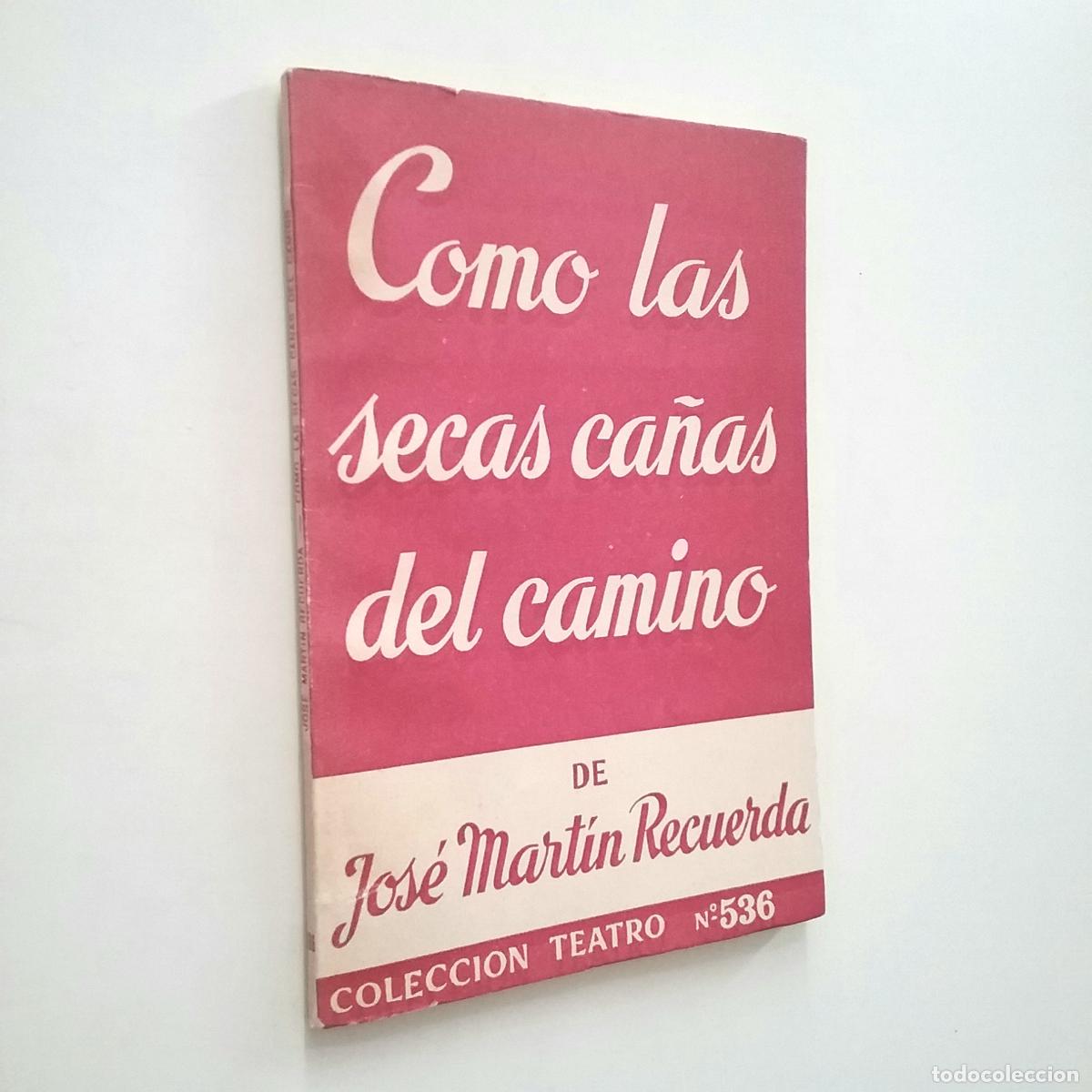 Libros: Jos&eacute; Mart&iacute;n Recuerda - Como las secas ca&ntilde;as del camino - Foto 1