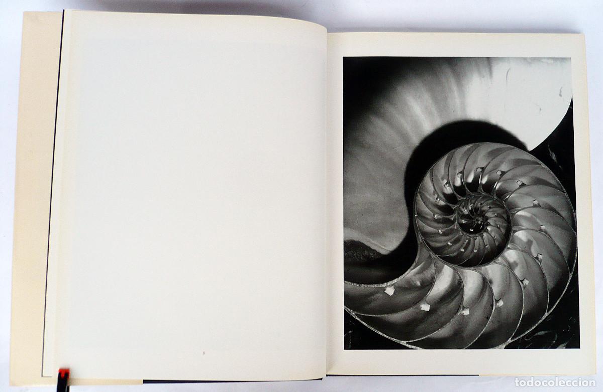 Libros: Form Horst, Horst P. Horst - Foto 6