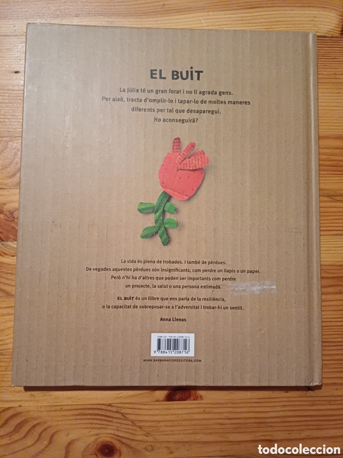 Libros: El Buit Anna Llenas - Barnara Fiorr Editora - Foto 4