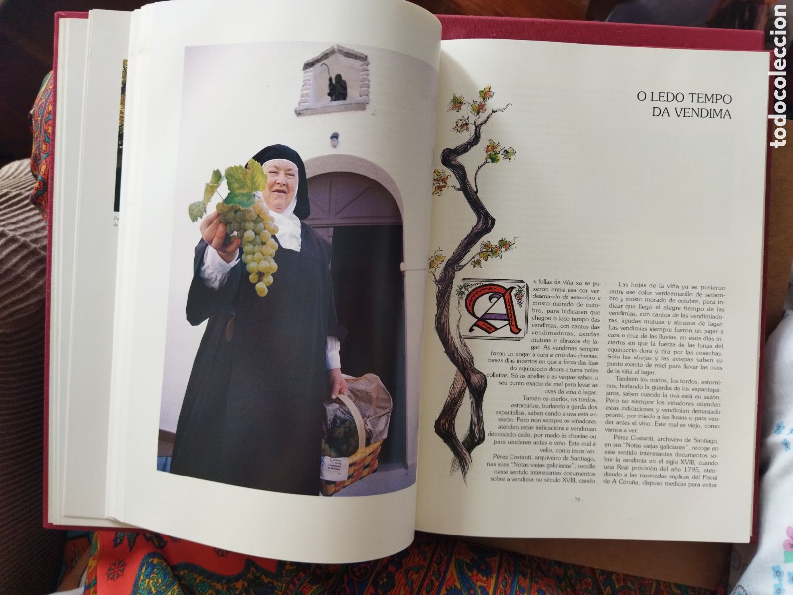 Libros: Vi&ntilde;os do Rosal e do Condado / Alonso Eliseo - Foto 4