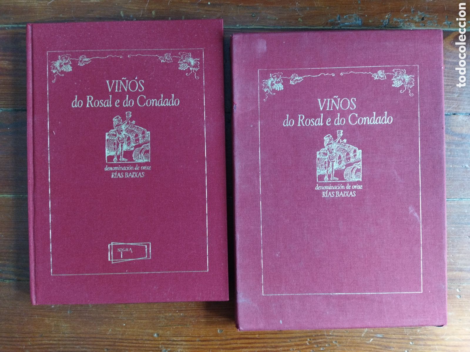 Libros: Vi&ntilde;os do Rosal e do Condado / Alonso Eliseo - Foto 1