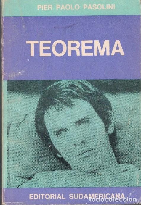 Libros: TEOREMA. - Pasolini. Pier Paolo, - Foto 1