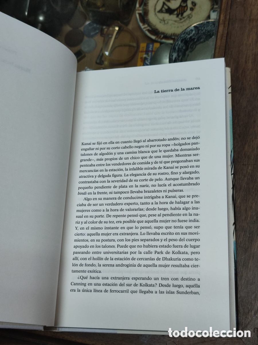 Libros: La marea Hambrienta Amitav Ghosh - Foto 5