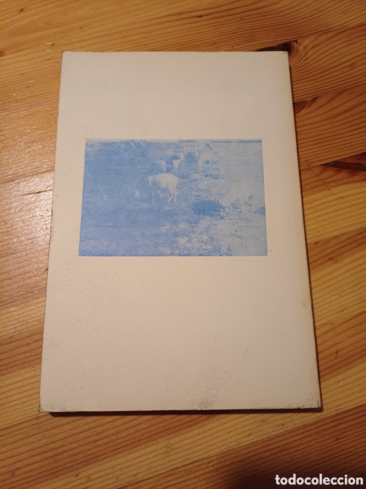 Libros: Los adulterios de las Perrunillas - Octavio Garcia Gil - Foto 2