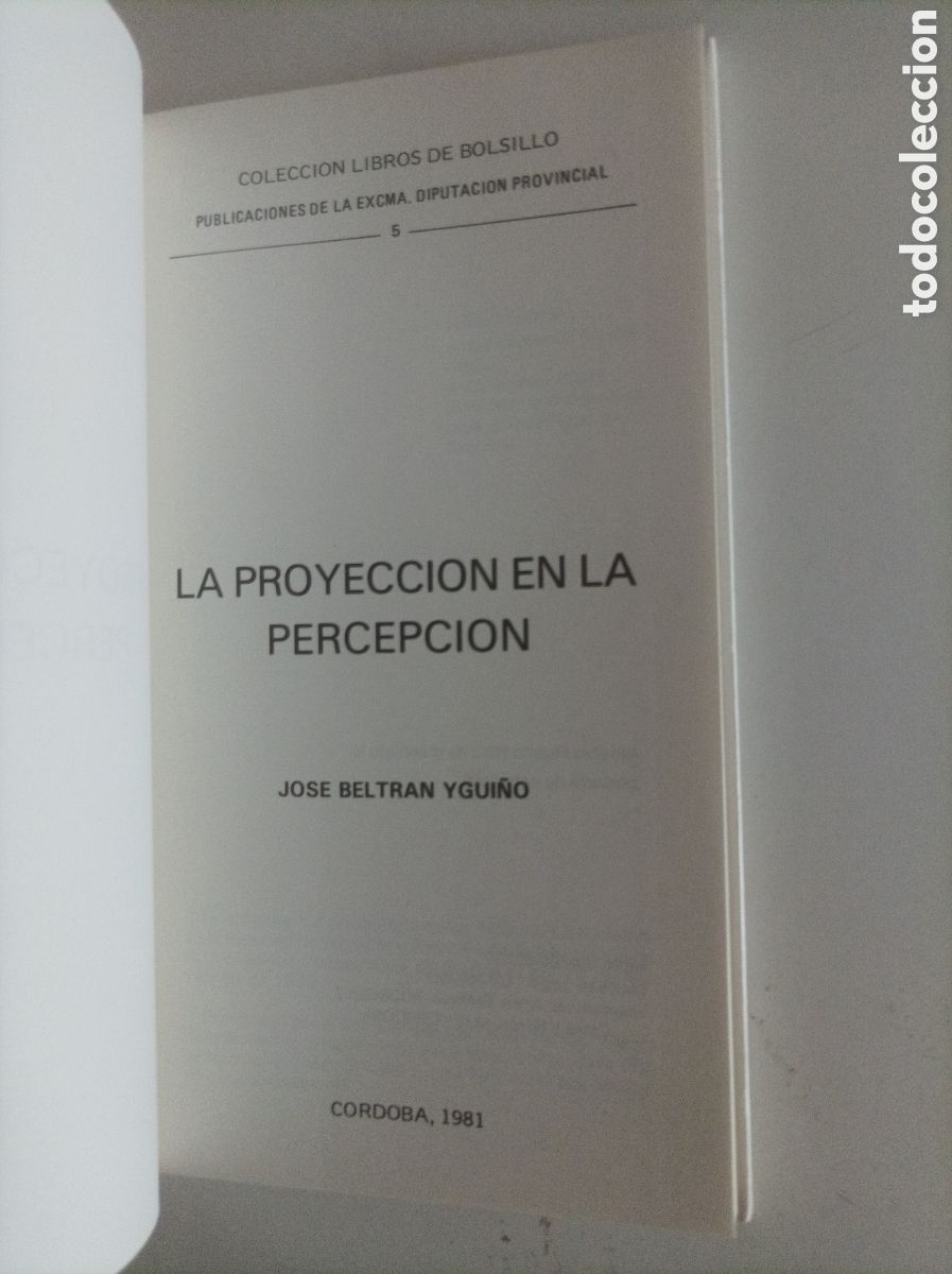 Libros: La proyecci&oacute;n de la percepci&oacute;n / Jos&eacute; Beltr&aacute;n Ygui&ntilde;o - Foto 3