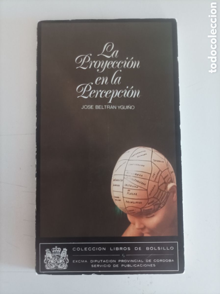 Libros: La proyecci&oacute;n de la percepci&oacute;n / Jos&eacute; Beltr&aacute;n Ygui&ntilde;o - Foto 2