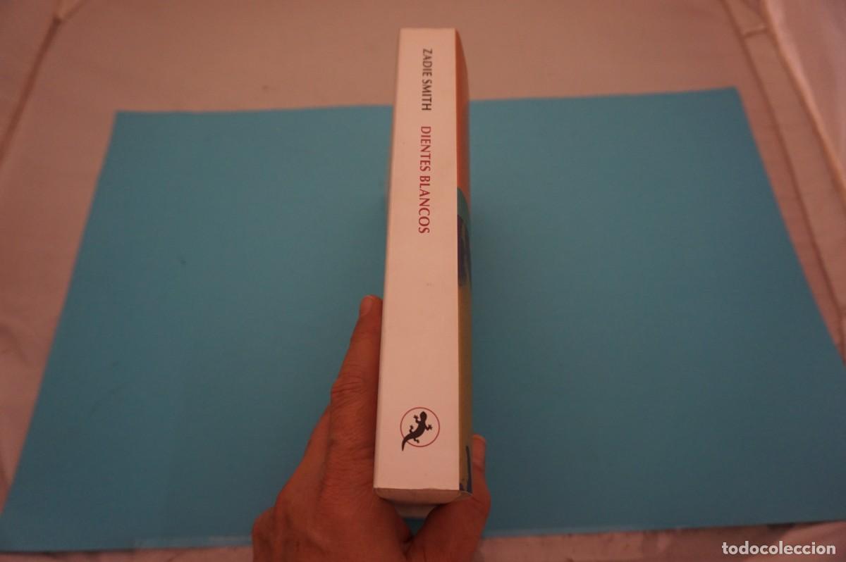 Libros: 7B/ DIENTES BLANCOS - ZADIE SMITH / SALAMANDRA EDITOR - Foto 7