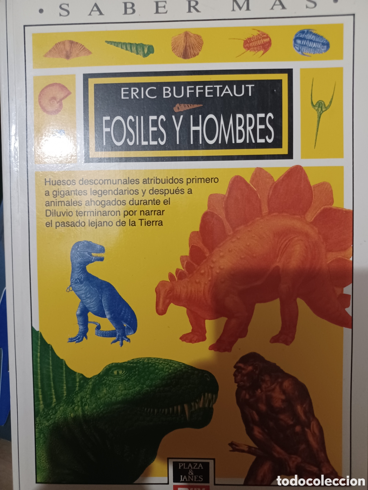 Libros: Barybook C37. F&oacute;siles y hombres Eric Buffetaut - Foto 1