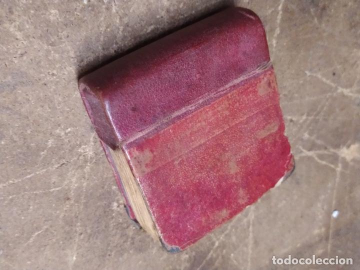 Libri di seconda mano: El gato perezoso. REI.591