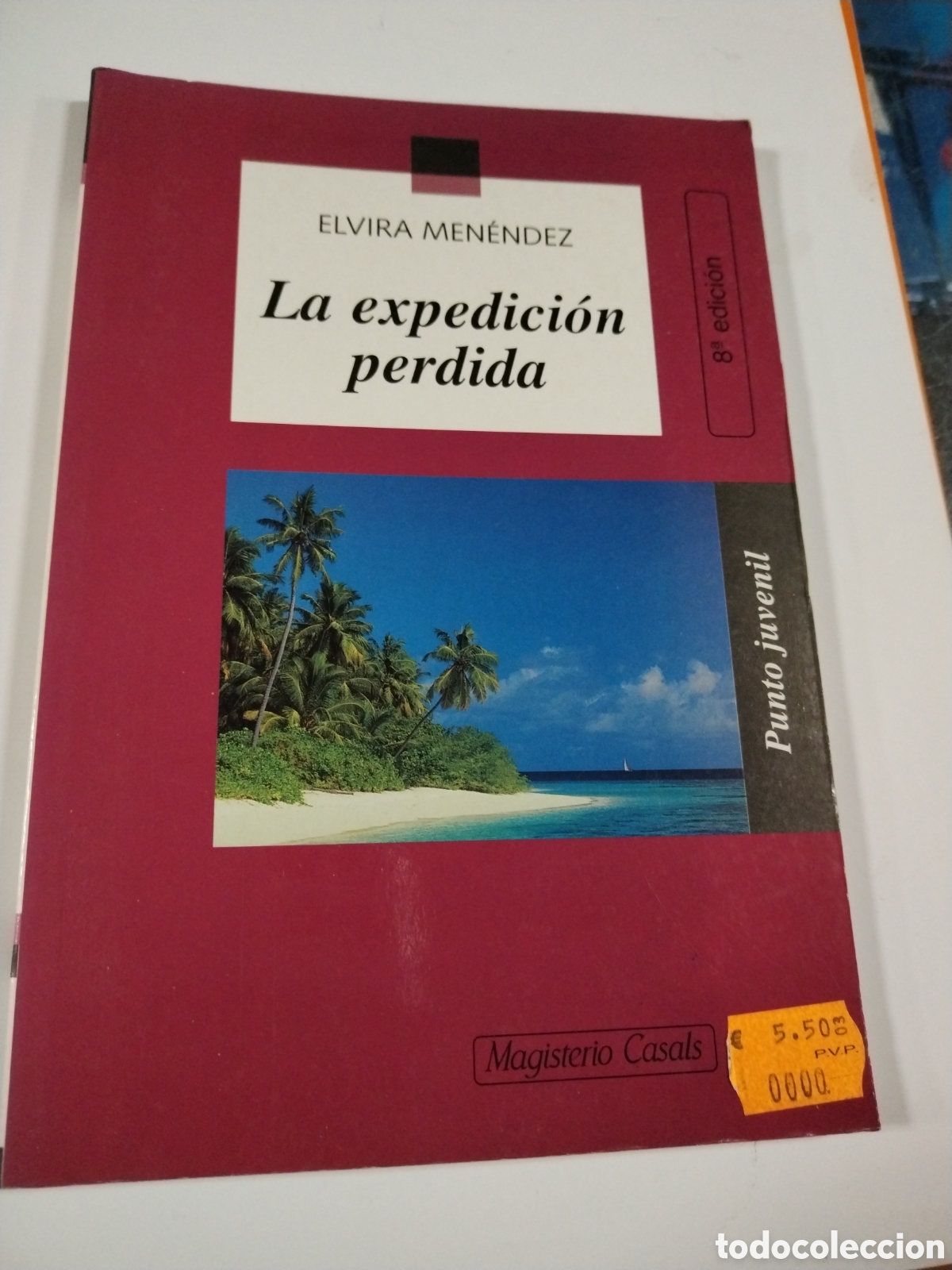 Libros: LA EXPEDICION PERDIDA. ELVIRA MENENDEZ. CL* - Foto 1