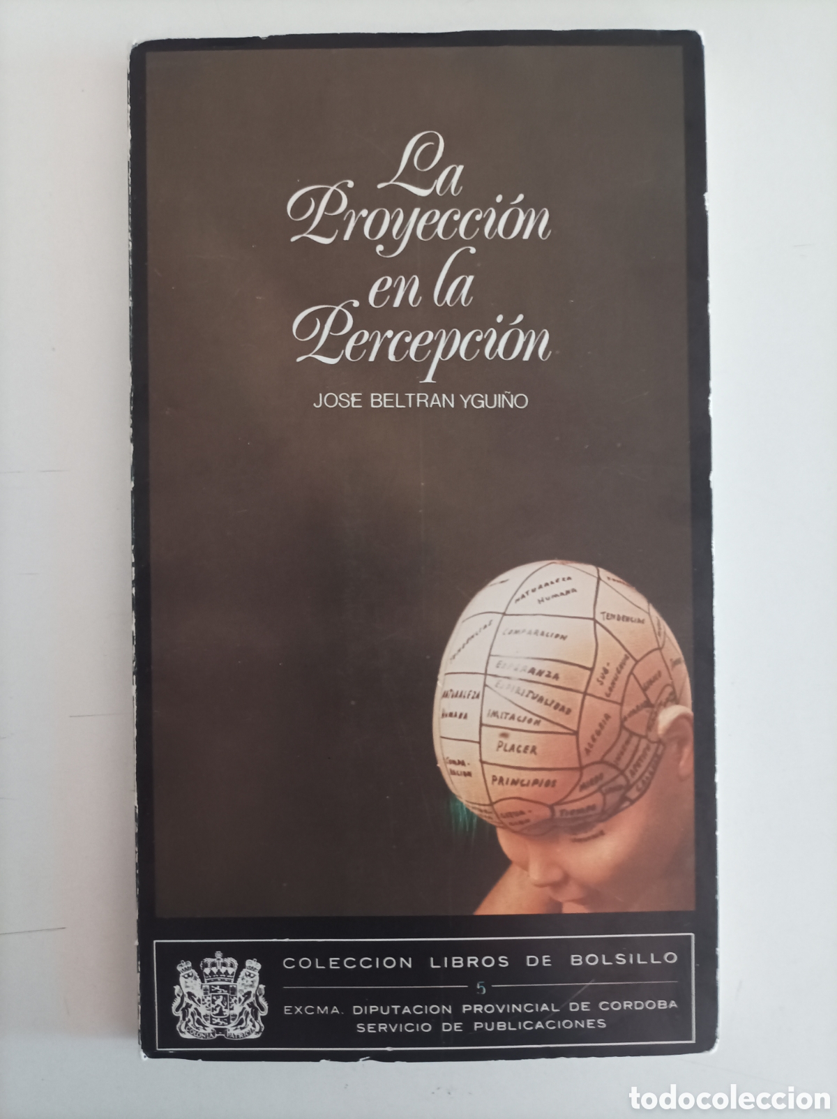 Libros: La proyecci&oacute;n de la percepci&oacute;n / Jos&eacute; Beltr&aacute;n Ygui&ntilde;o - Foto 1