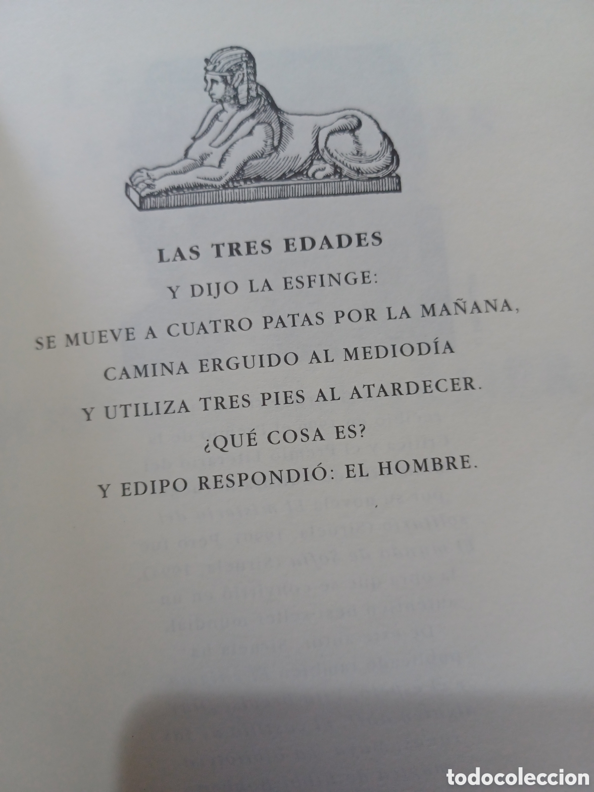 Libros: Barybook 297. La joven de las naranjas Jostein gaarder Ediciones Siruela - Foto 2