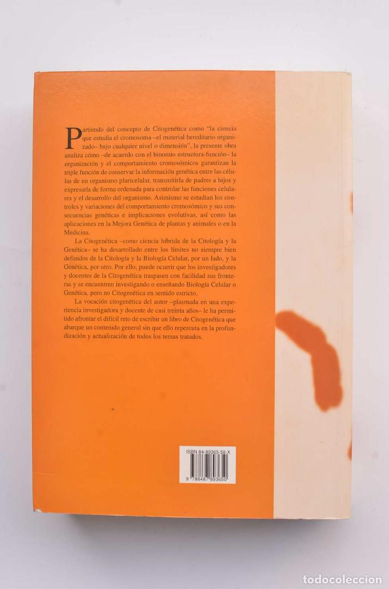 Libros: Citogen&eacute;tica - LACEDENA, Juan Ram&oacute;n - Foto 5