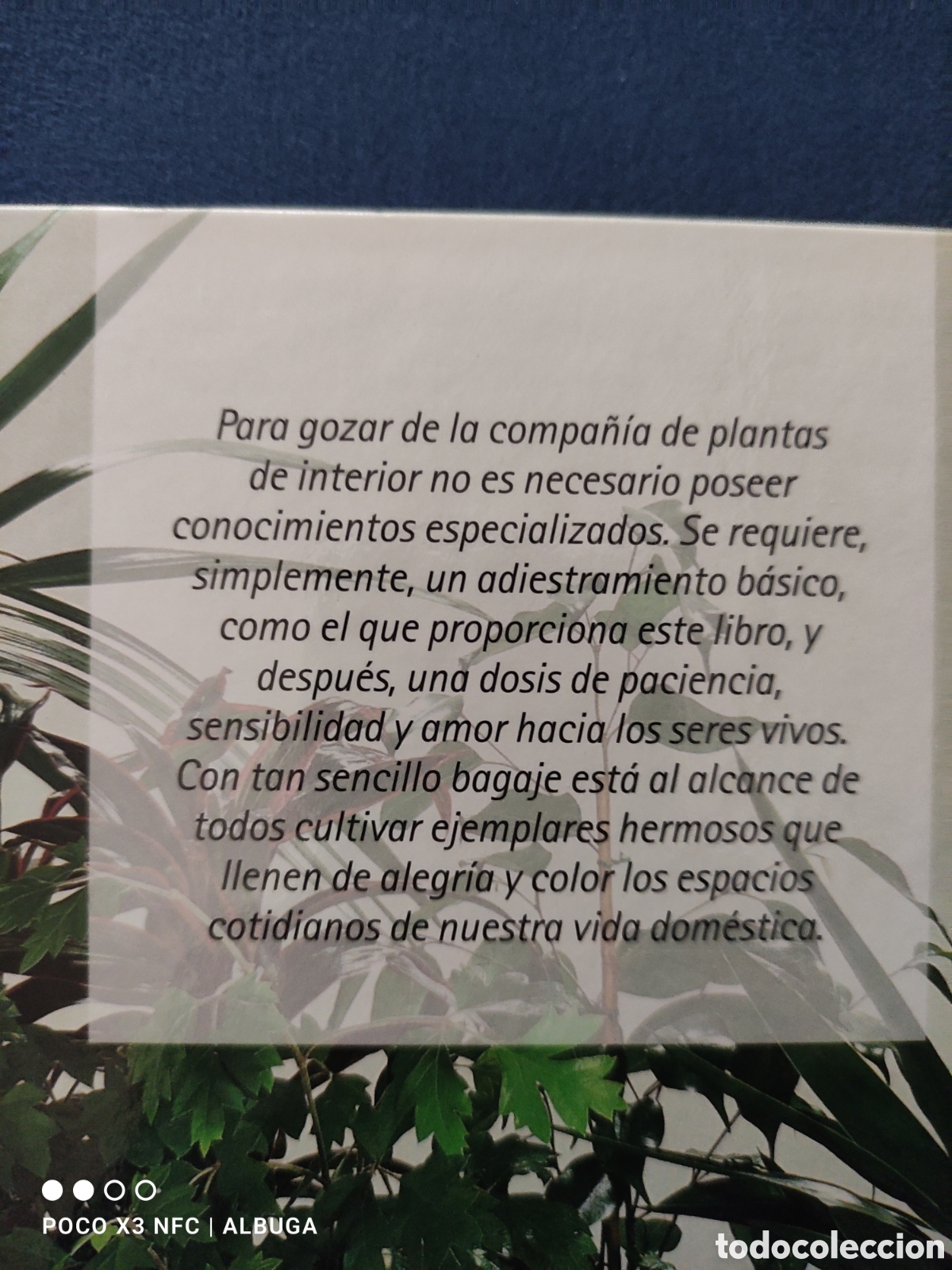 Libros: Plantas de interior. Tapa dura - Foto 2