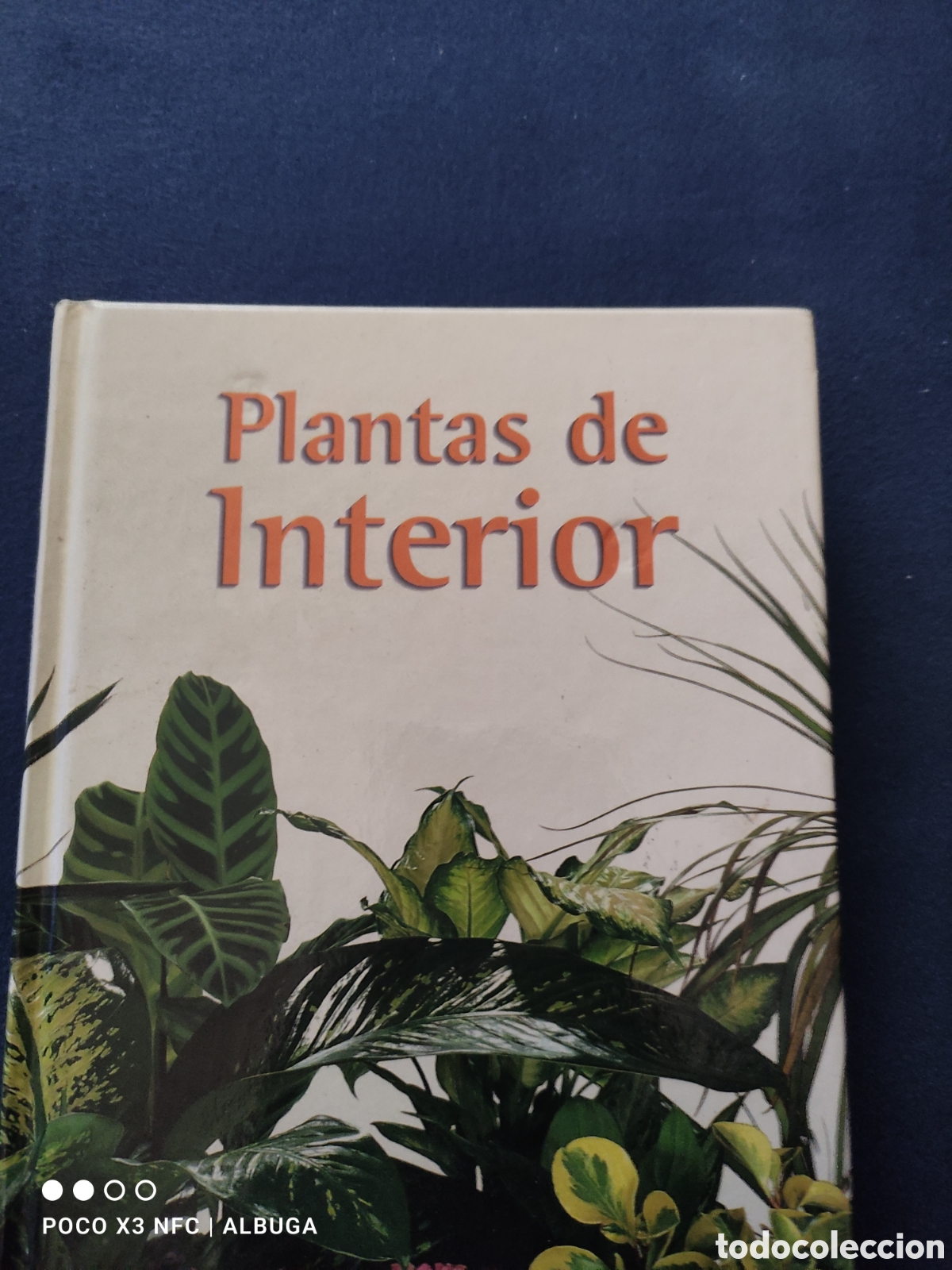 Libros: Plantas de interior. Tapa dura - Foto 1