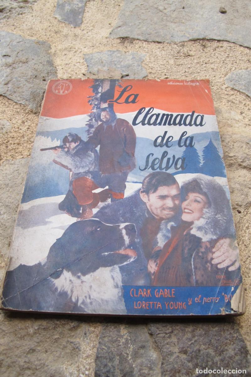 Libros: LA LLAMADA DE LA SELVA. CLARK GABLE, LORETTA YOUNG Y EL PERRO BUCK. EDICIONES BISTAGNE - Foto 1