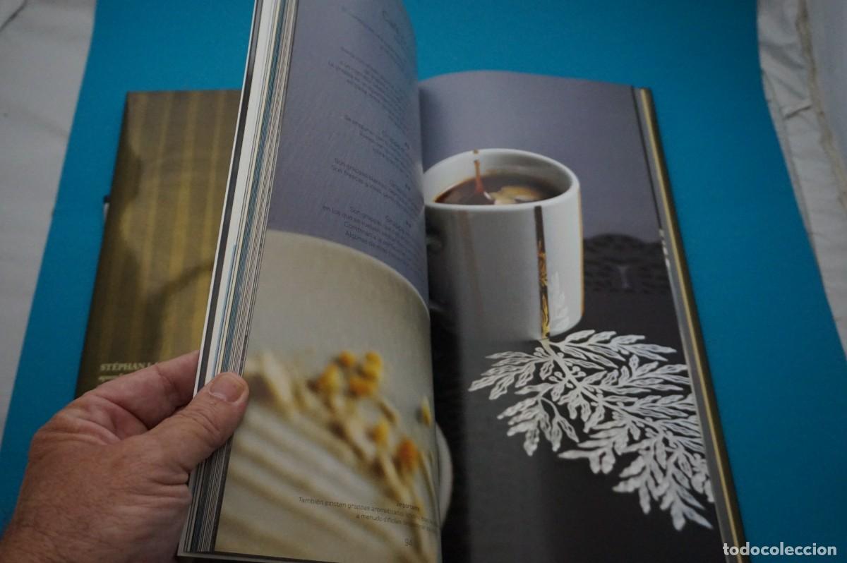 Libros: AMF-32A/ LOS AROMAS DEL CAFE - STEPHAN LAGORCE / LAROUSSE - Foto 7
