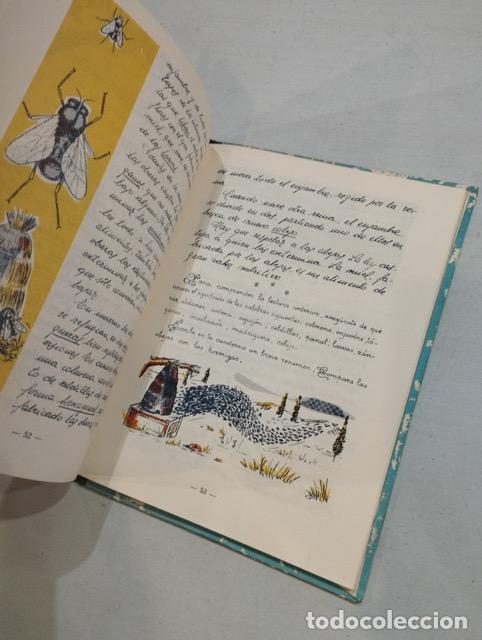 Libros: Jos&eacute; Corominas - Vida y trabajo - Foto 2