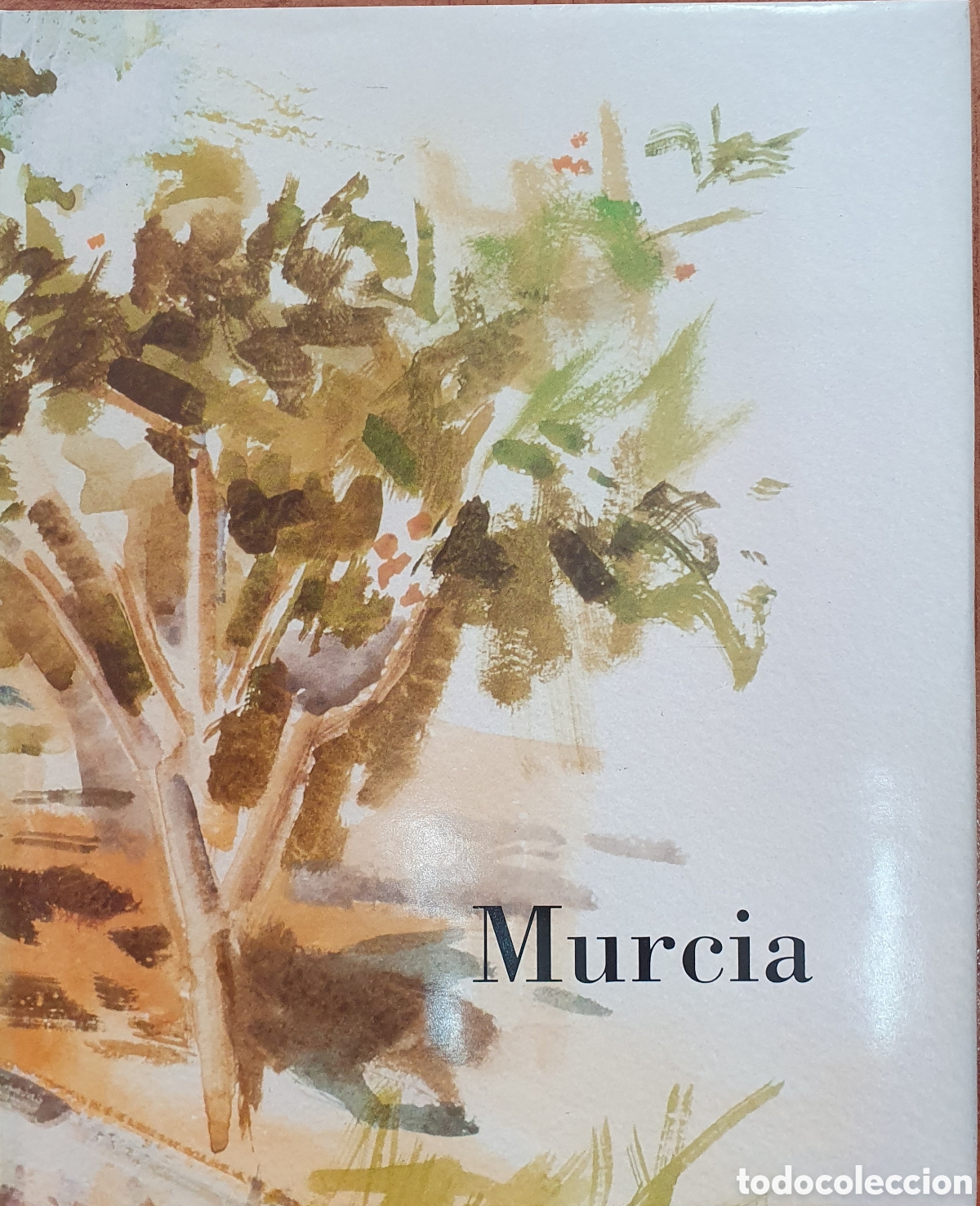 Libros: Murcia - Pr&oacute;logo y Cubierta de Ram&oacute;n Gaya - VV. AA. - Foto 1
