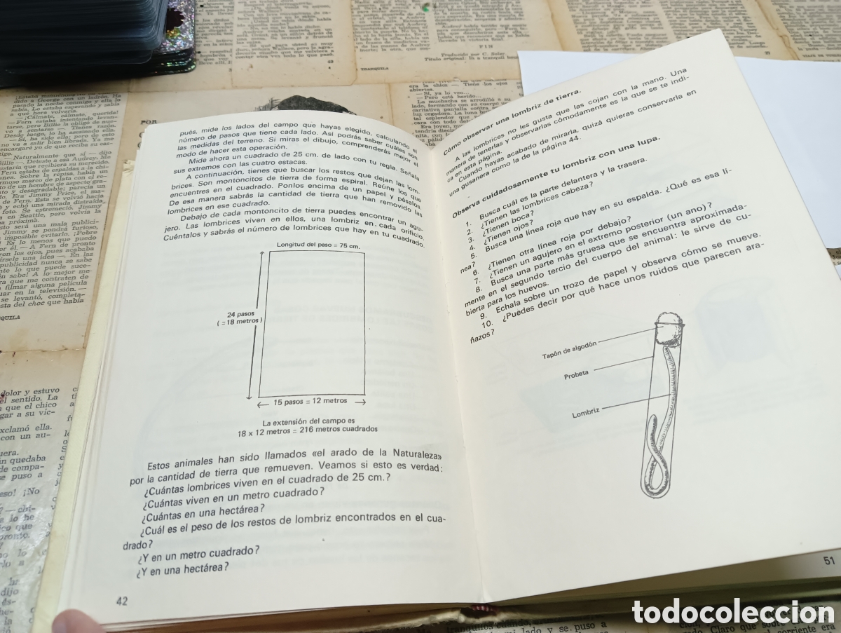 Libros: Actividades para un joven naturalista - Foto 2