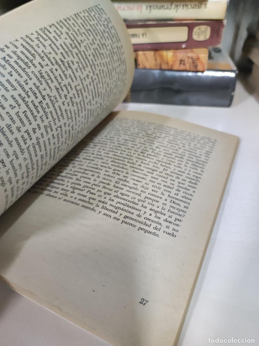 Libros: Vida de Pedro Saputo (I) - Braulio Foz - Foto 5