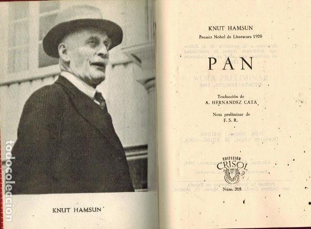 Libros: PAN - Foto 1