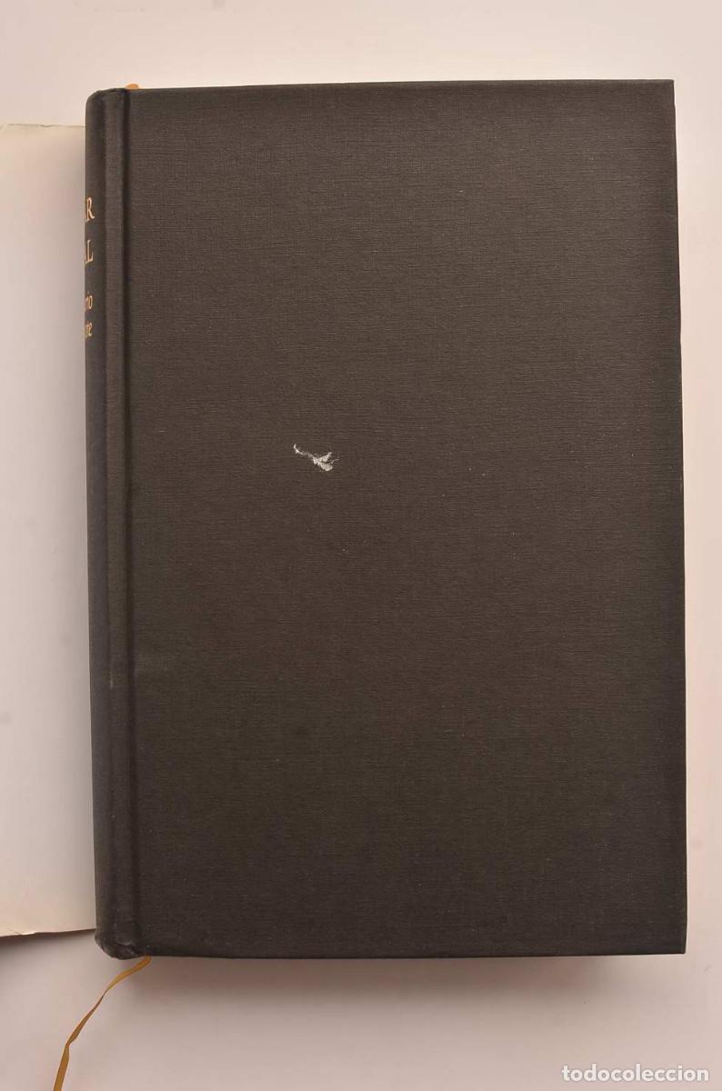 Libros: Diccionario del Quijote - VIDAL, C&eacute;sar - Foto 2