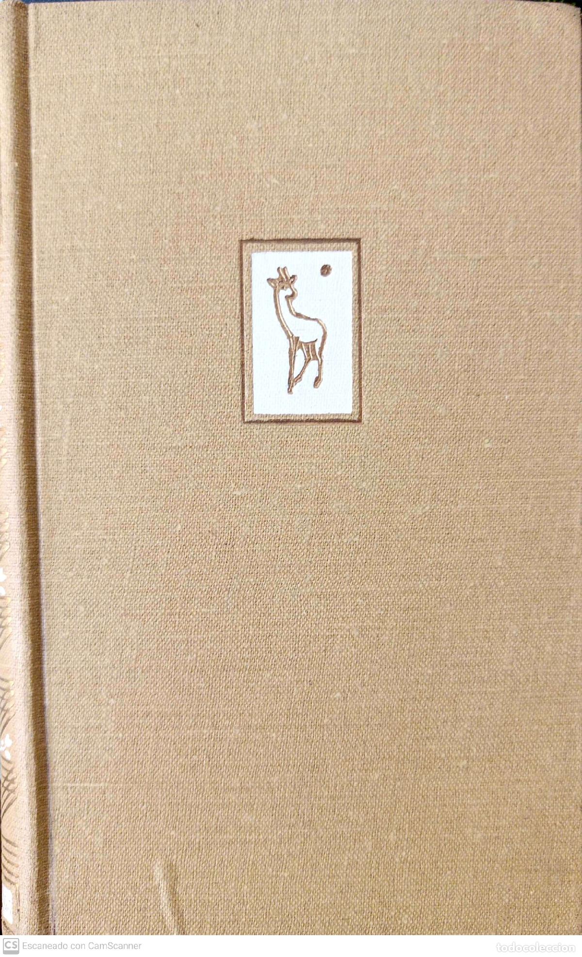 Libros: J&eacute;r&ocirc;me. 60.&ordm; latitud norte - Bedel, Maurice - Foto 1