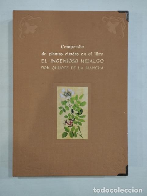 Libros: Compendio de plantas citadas en el libro El ingenioso hidalgo Don Quijote de la Mancha - Foto 1