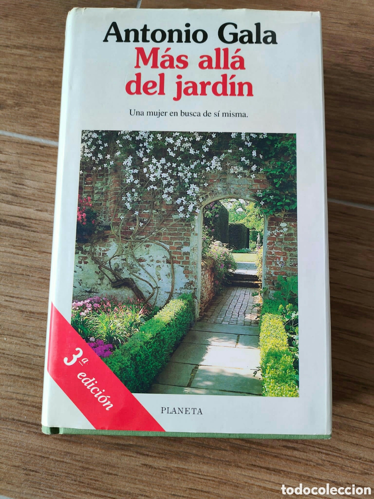 Libros: M&aacute;s all&aacute; del jard&iacute;n Antonio Gala - Foto 1