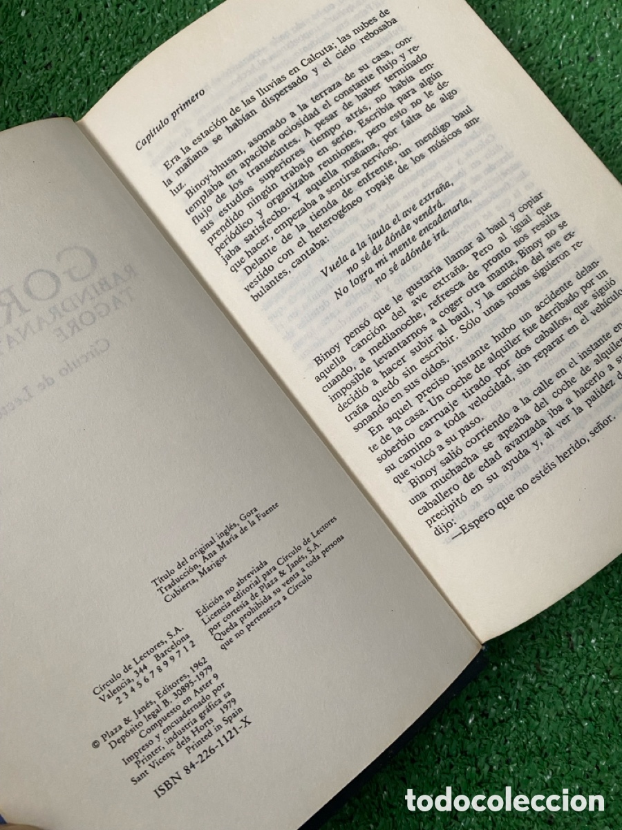Libros: Gora Rabindranath Tagore - Foto 3