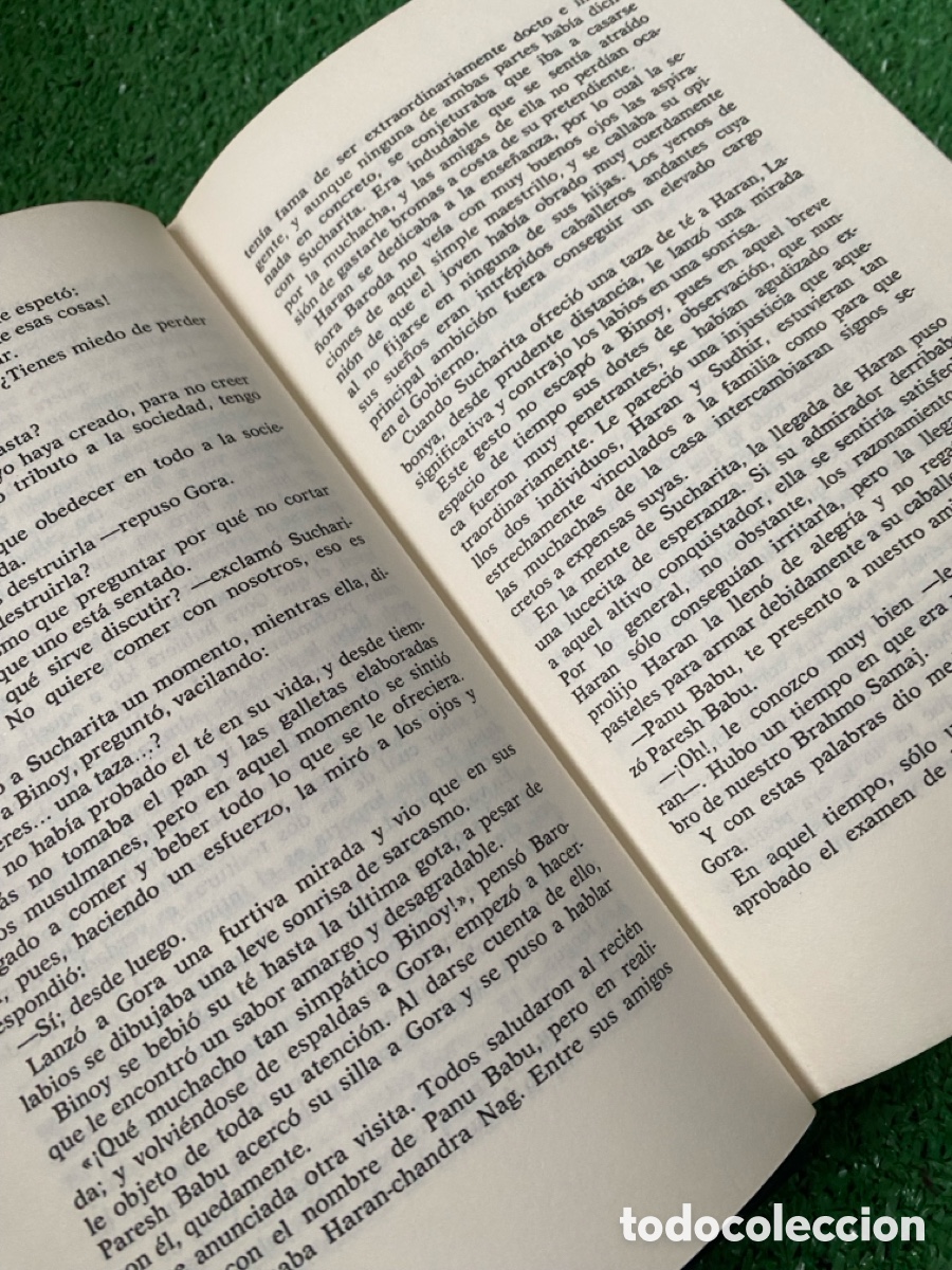 Libros: Gora Rabindranath Tagore - Foto 4