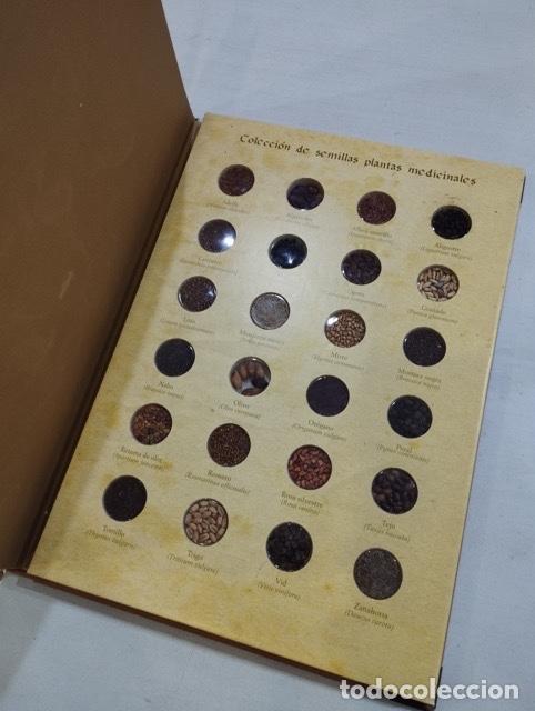 Libros: Compendio de plantas citadas en el libro El ingenioso hidalgo Don Quijote de la Mancha - Foto 4