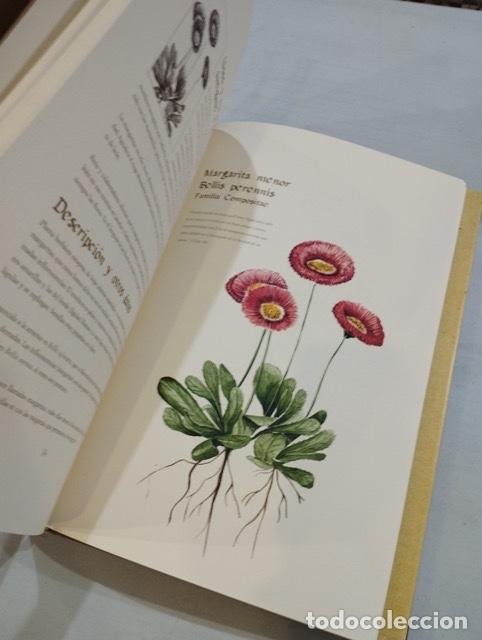 Libros: Compendio de plantas citadas en el libro El ingenioso hidalgo Don Quijote de la Mancha - Foto 5