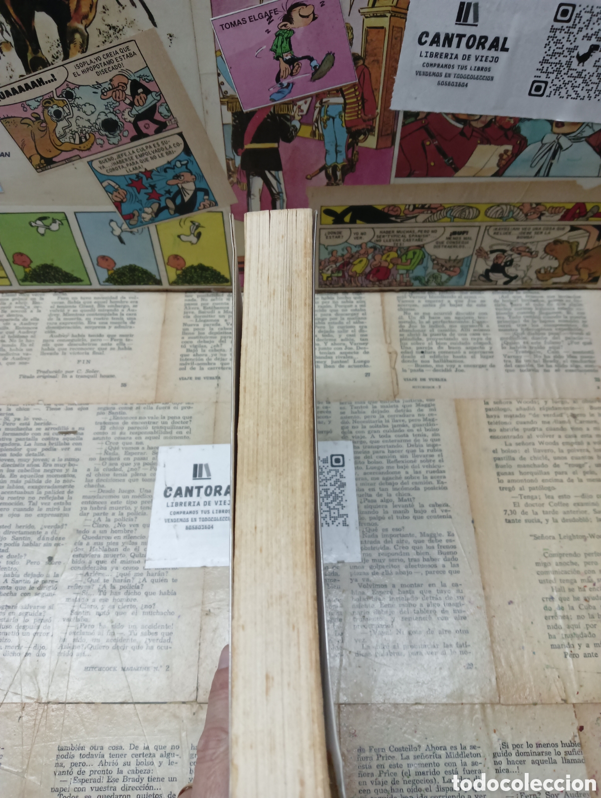 Libros: El protocolo. Sarah Allan Borisch. - Foto 4