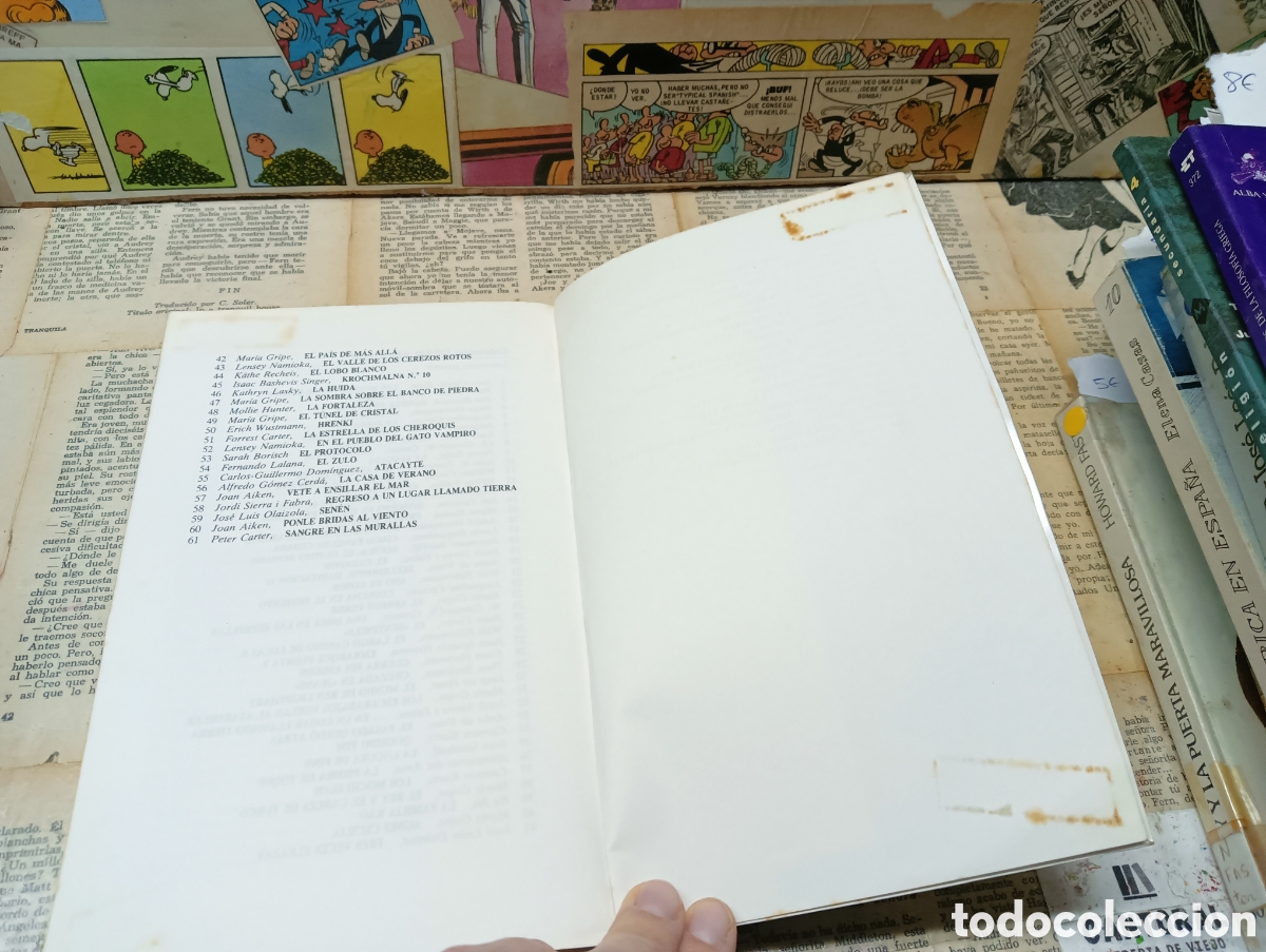 Libros: El protocolo. Sarah Allan Borisch. - Foto 5
