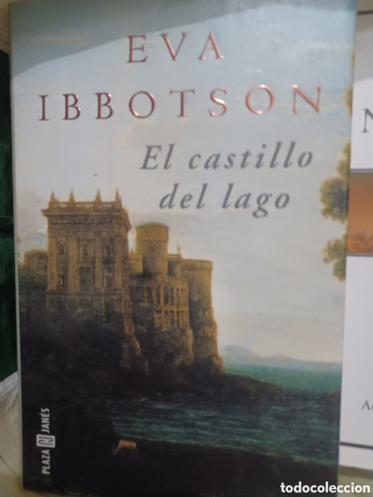 Libros: Barybook C64. . . . El castillo.del lago EVA IBBOTSON - Foto 1