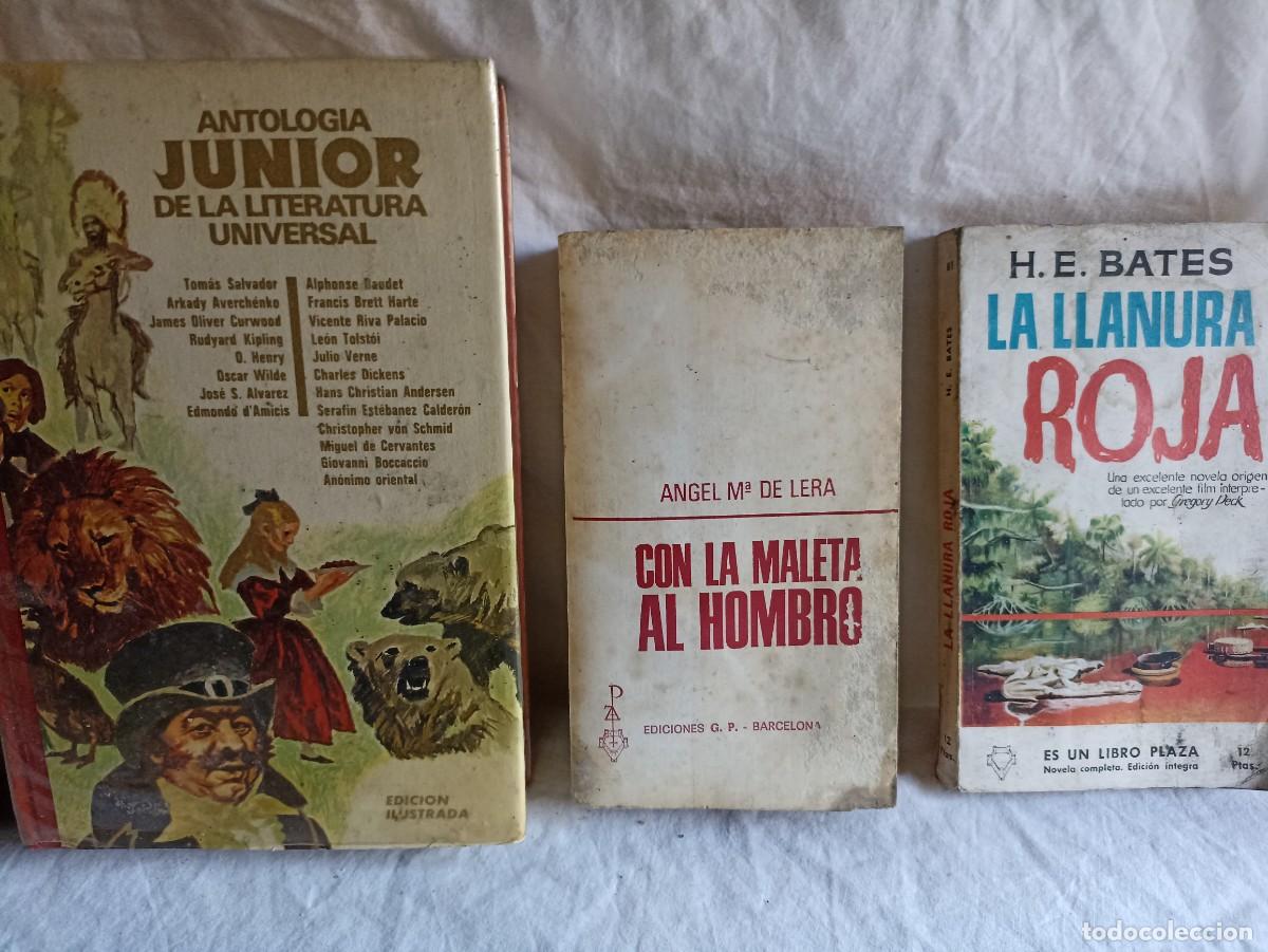 Libros: Lote 10 viejos libros en espa&ntilde;ol - Foto 5