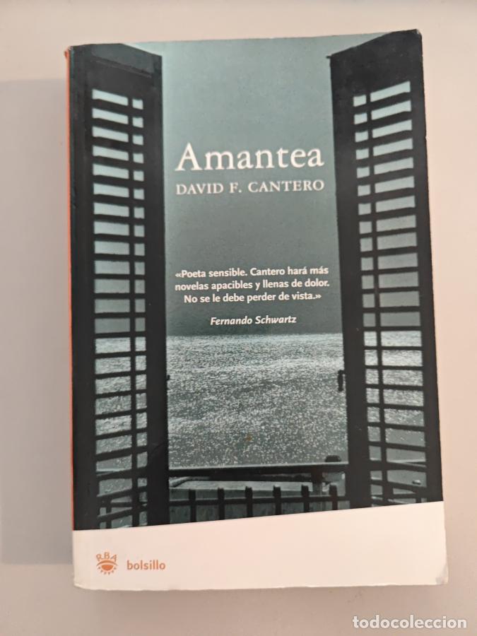 Libros: Amantea. - Cantero, David. TDK837 - Foto 1