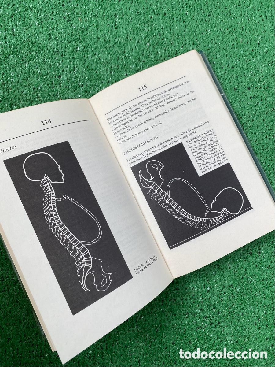 Libros: Andr&eacute; van Lysebeth Manual de iniciaci&oacute;n al yoga - Foto 7