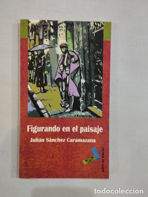 Libros: Juli&aacute;n S&aacute;nchez - Figurando en el paisaje - Foto 1