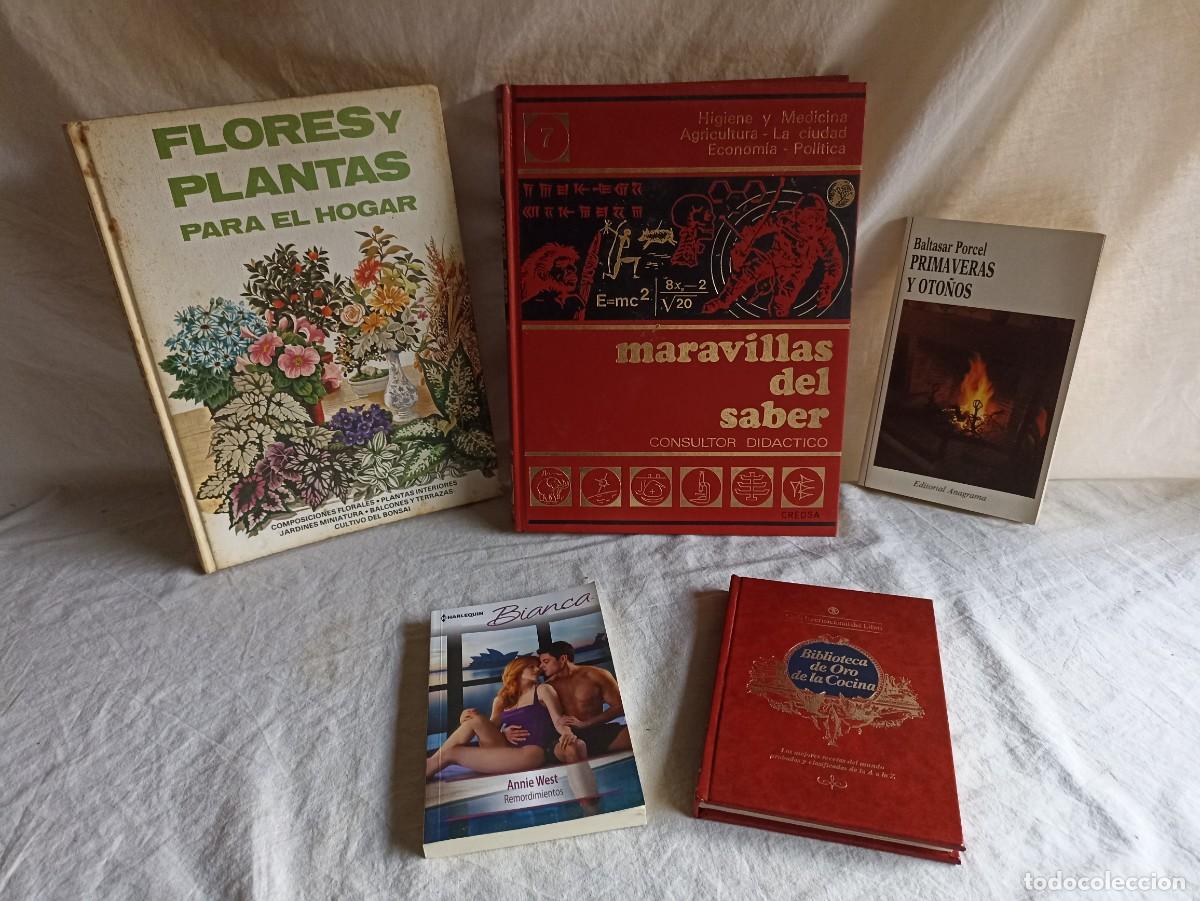 Libros: Lote 5 viejos libros en espa&ntilde;ol - Foto 1