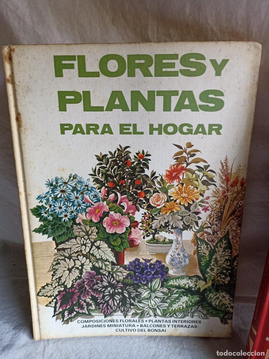 Libros: Lote 5 viejos libros en espa&ntilde;ol - Foto 2