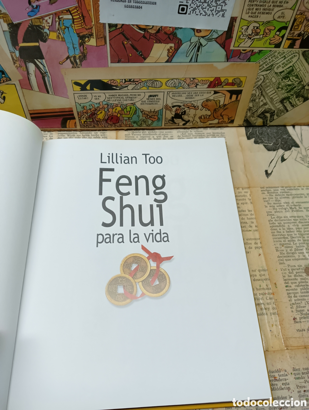 Libros: Feng shui . 168 consejos para el &eacute;xito. - Foto 2