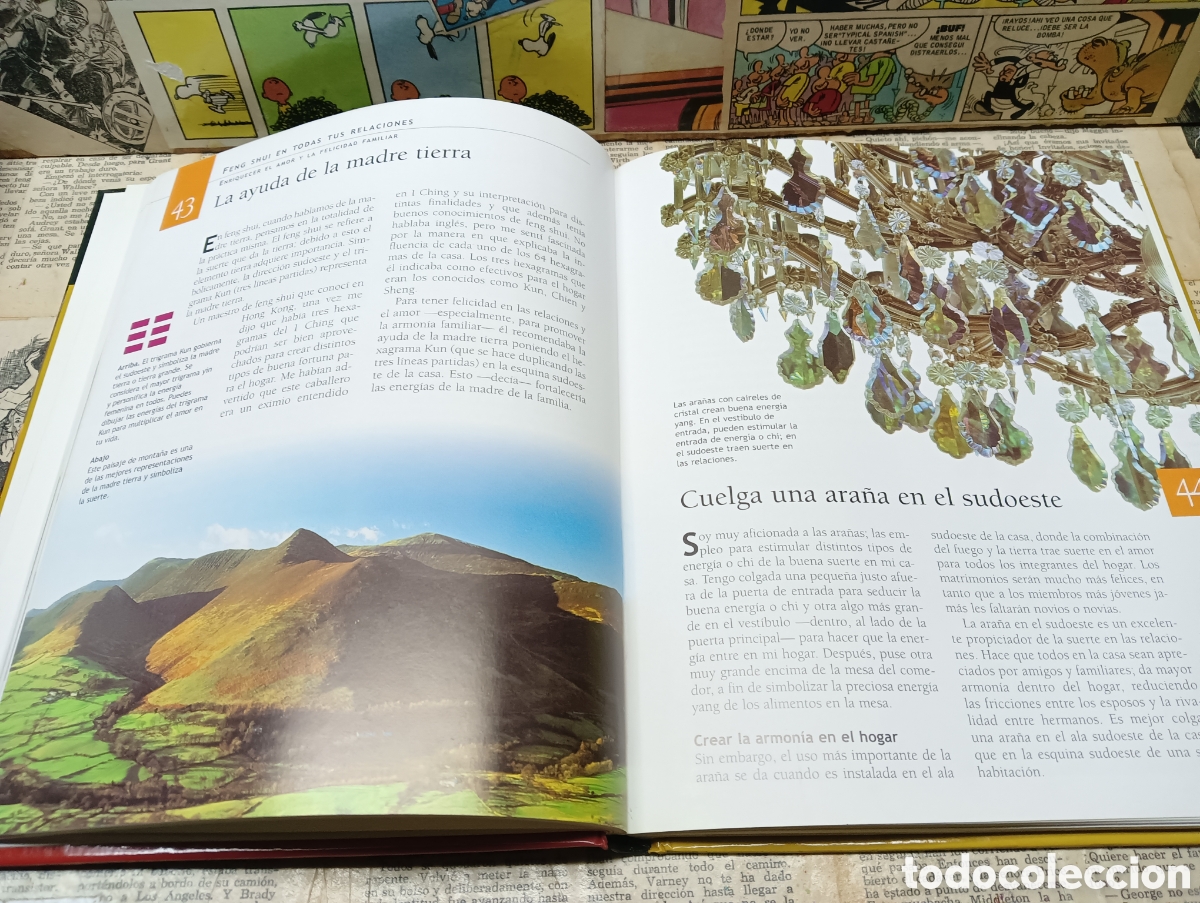 Libros: Feng shui . 168 consejos para el &eacute;xito. - Foto 3