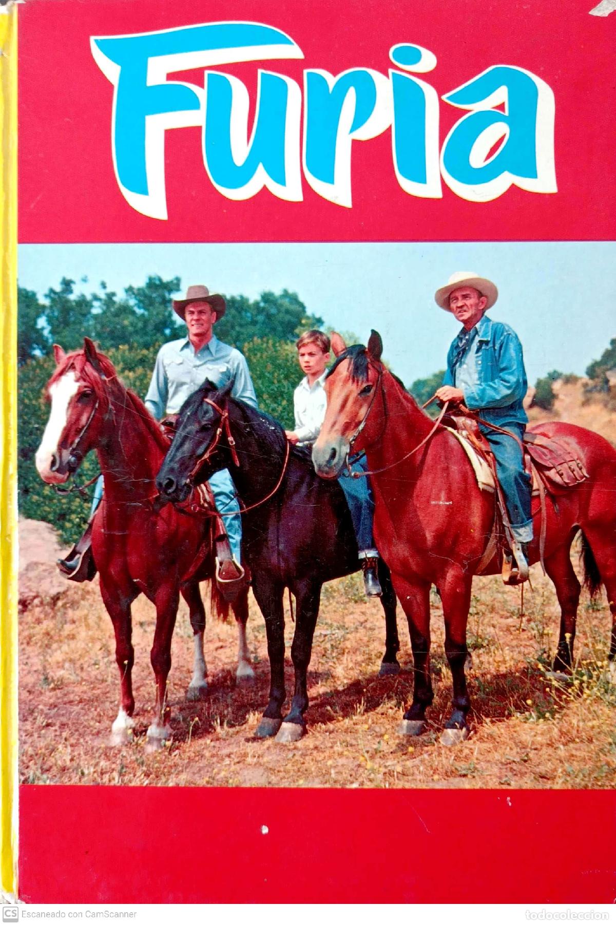 Libros: Furia - Foto 1