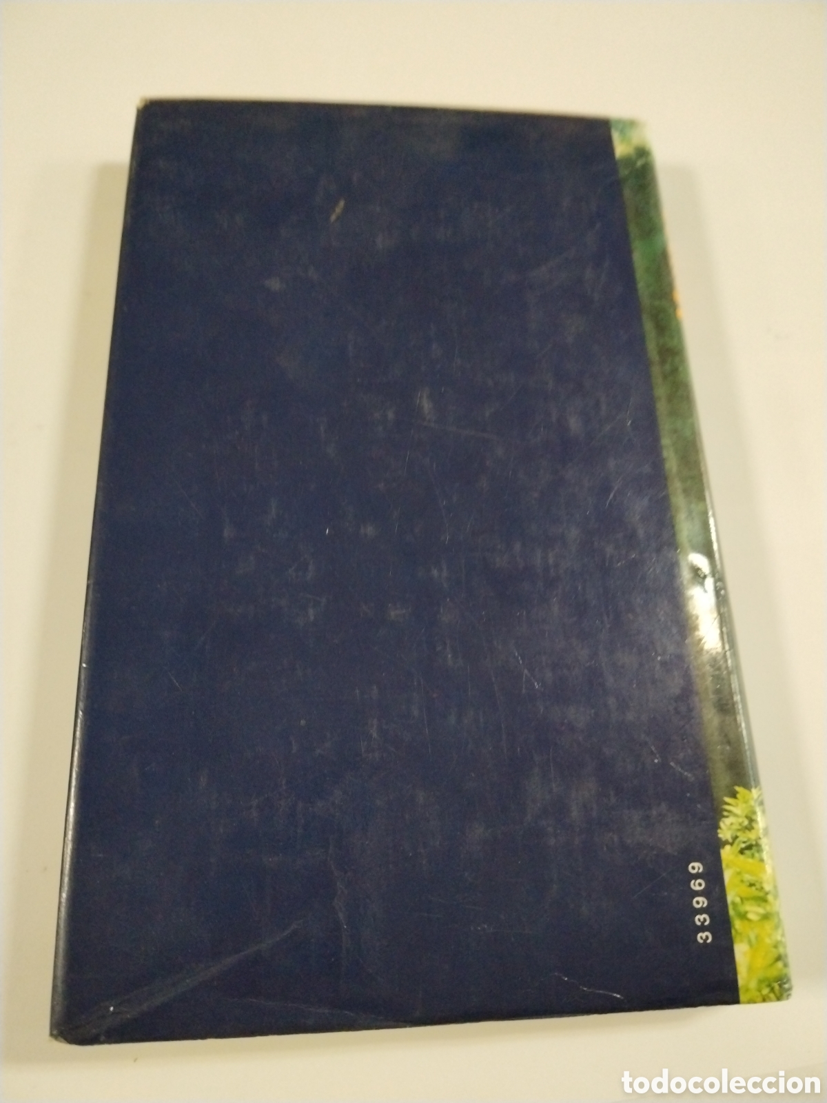 Libros: Manaos - Alberto Vazquez-Figueroa - Foto 2